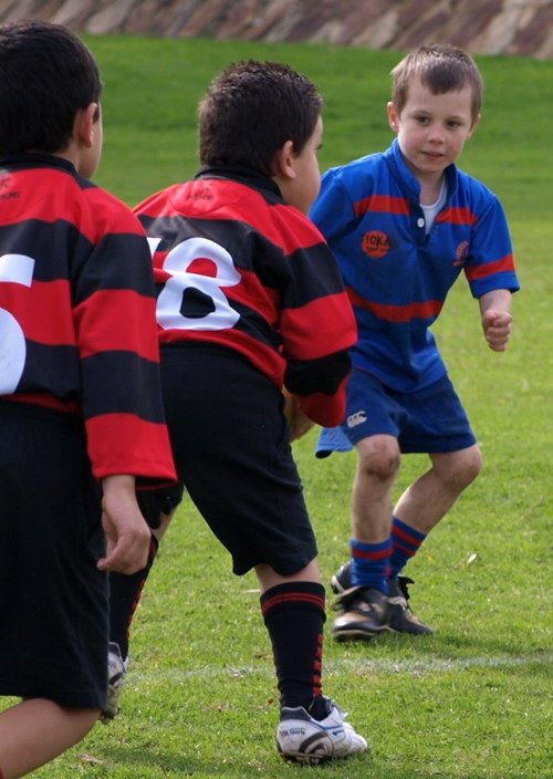 u8s Suttell again